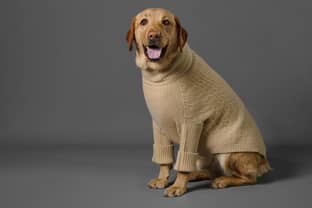 Pawshmere launches luxury, ethical clothing for dogs