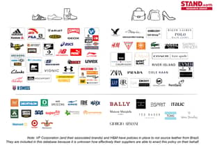 Major fashion and footwear brands linked to Amazon deforestation