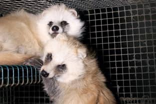 Italy vote to ban fur farming and shut down mink farms