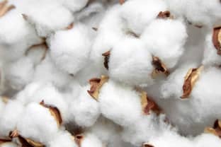 US Cotton Trust Protocol doubles participation in one year