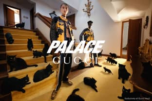 Palace bringt Gucci das Skaten bei 