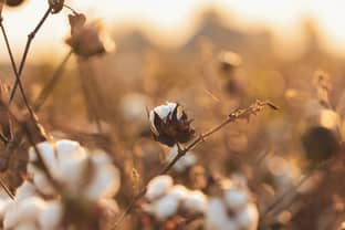 Better Cotton calls on COP27 leaders to support frontline farmers