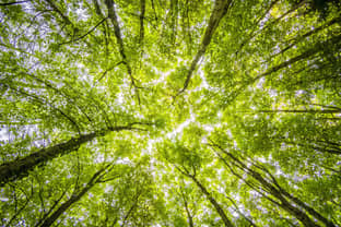 Global brands commit to forest-friendly supply chains