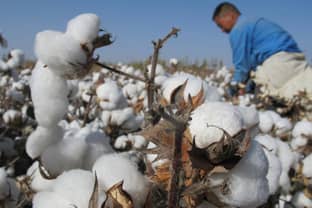 Better Cotton Initative bereikt 700 leden