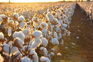The natural fibres economy – how the four percent of world’s population makes a living