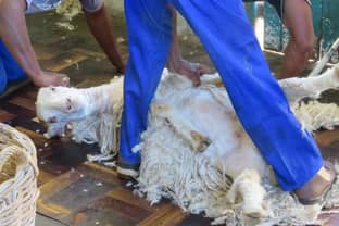 Mohair South Africa claims only 2 farms were depicted in PETA’s expose, PETA denies