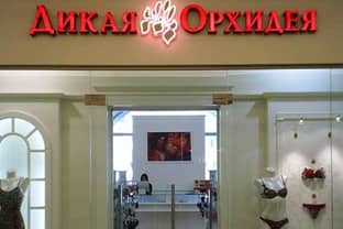 На Кипре арестовали акции "Дикой орхидеи" и "Рив Гош" - "Коммерсант"