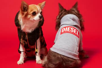 Diesel unveils second doggie capsule collection