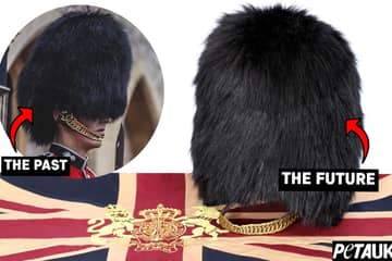 Shrimps joins PETA in call to drop use of bearskin for Queen’s Guard caps
