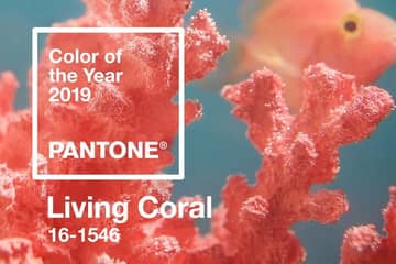 Living Coral, nuevo color Pantone para 2019