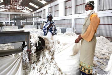 Cotton Ranking 2020: Adidas koploper gebruik duurzaam katoen