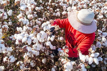 Acusaciones contra China por emplear mano de obra esclava en la recolección de algodón