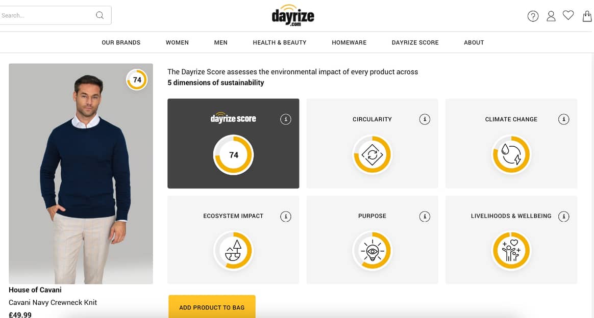 Dayrize Website Screenshot
