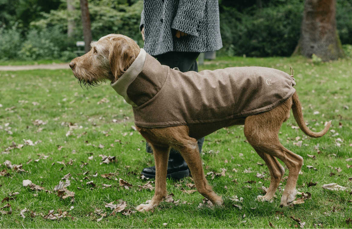 Dog sweater by Cloud7. Credits: Savannah van der Niet / Cloud7