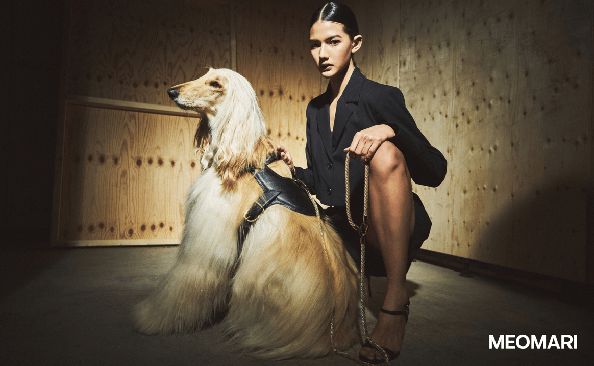 Top 3 luxury dogwear accessories Meomari