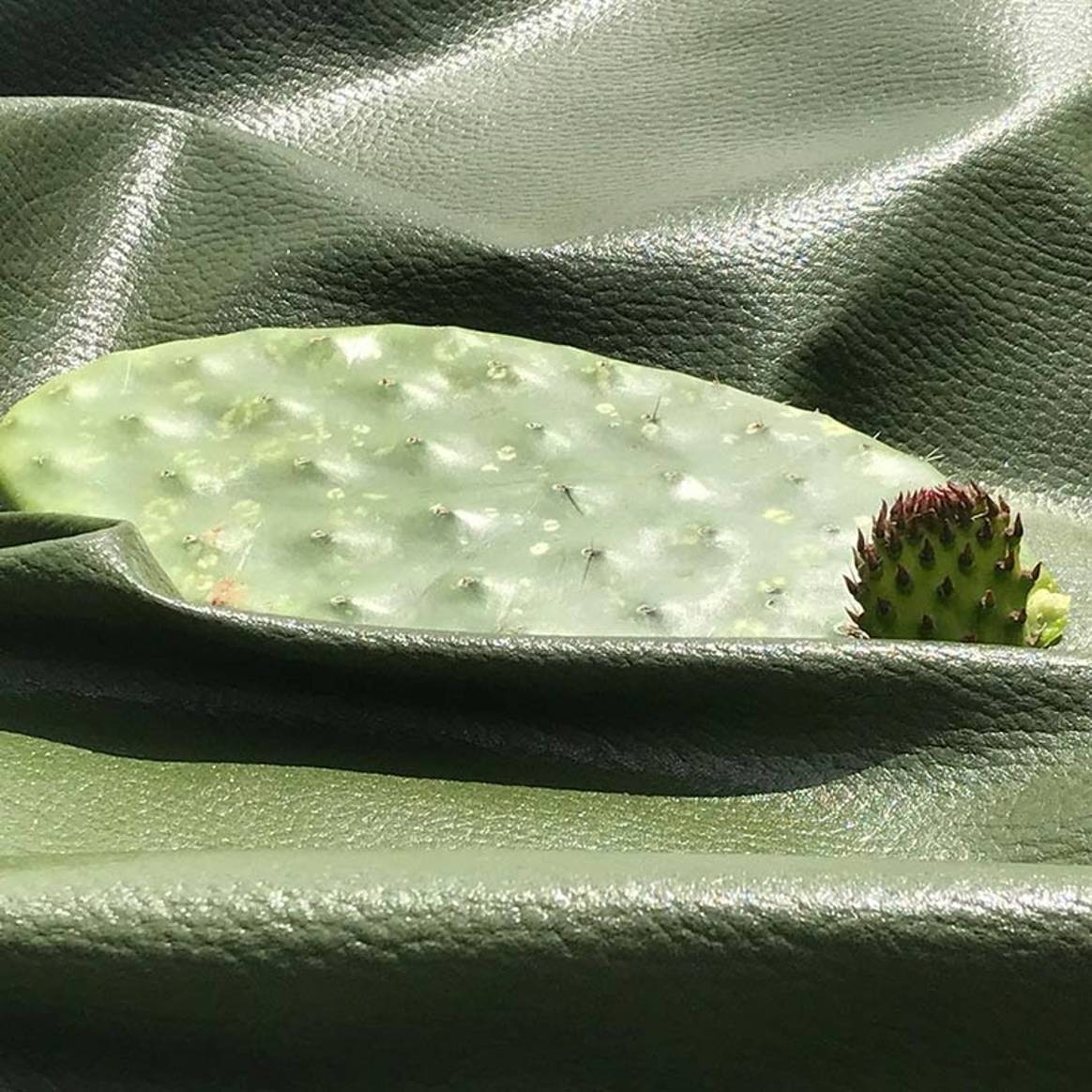 Neues Luxusmaterial: Veganes Kaktusleder aus Mexico