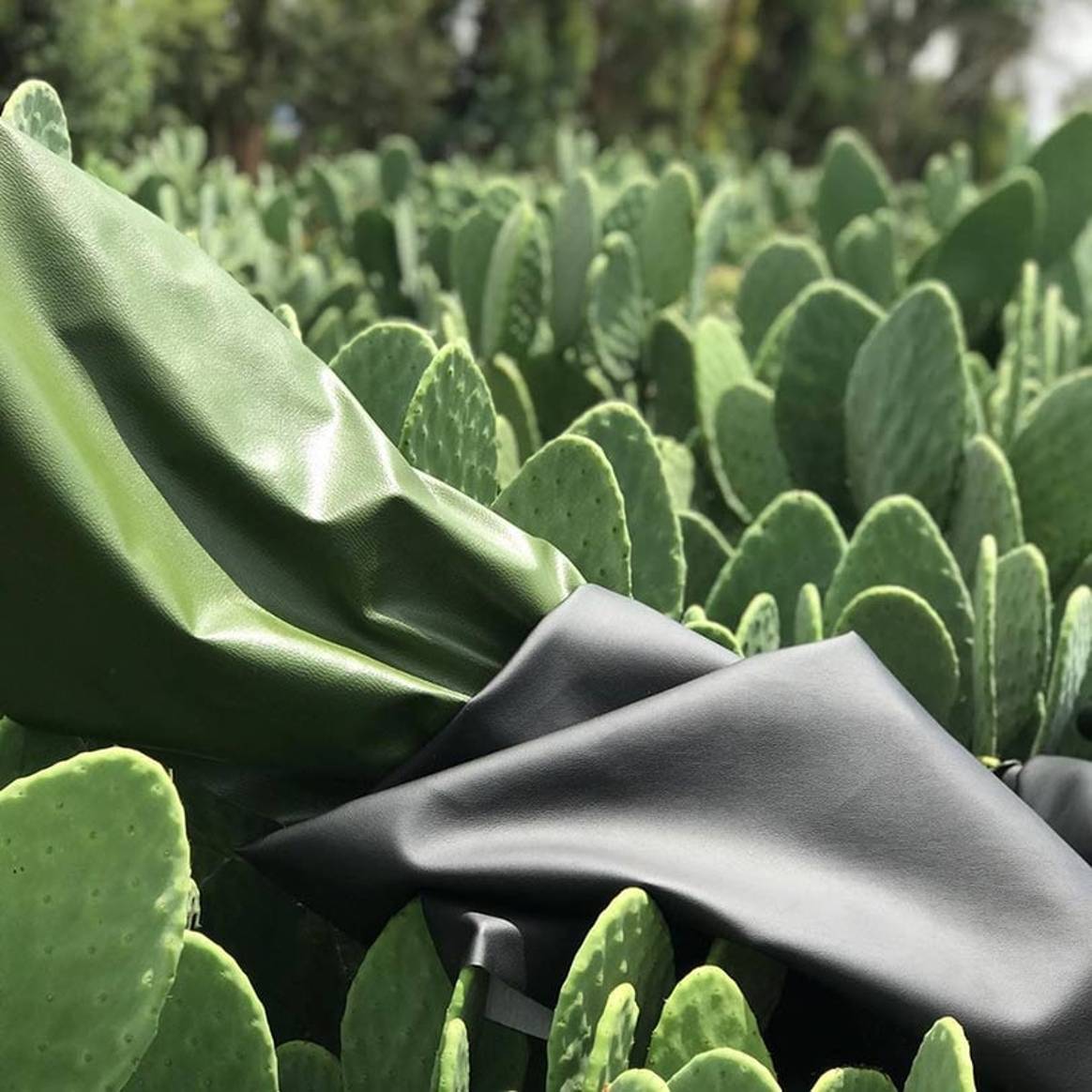Neues Luxusmaterial: Veganes Kaktusleder aus Mexico