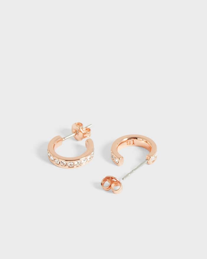 TBJ2767 Nano Hoop Huggie Earring | Ted Baker