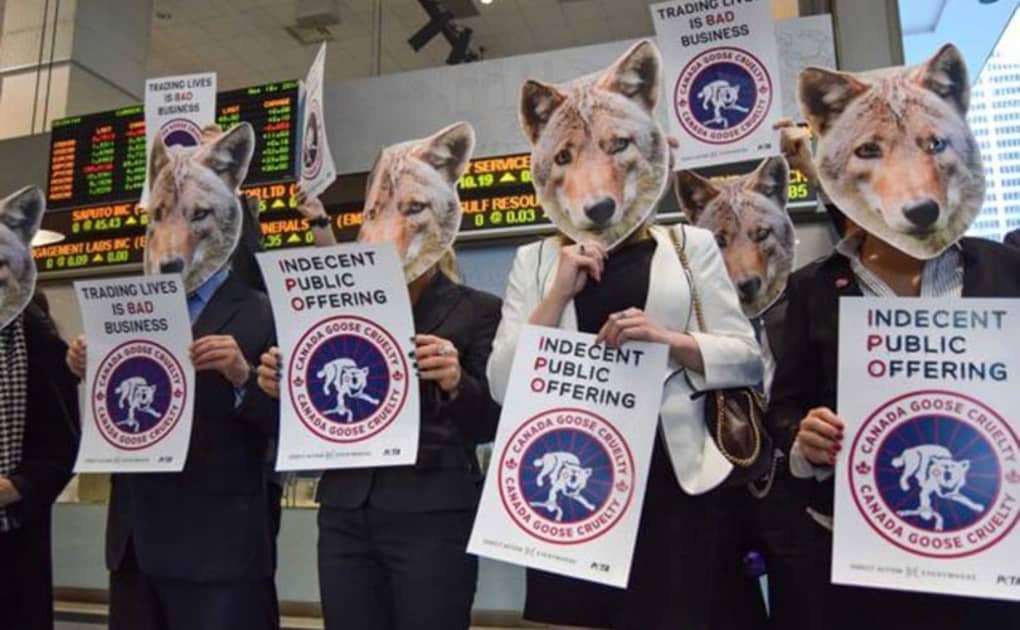 PETA take battles against Canada Goose s animal cruelty to the