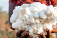 Zara-eigenaar Inditex eist transparantie van Better Cotton