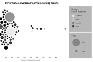 Amazon’s private labels: is anyone winning?