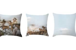 Baja East launches home collection