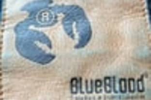 CFO Blue Blood International: ‘Eerst rust creëren’