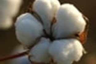 Cotton prices move south, apparel not affected