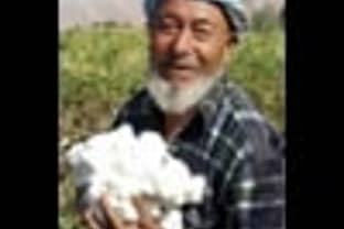 Usbekistan: Baumwollboykott gegen Kinderarbeit