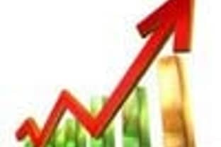     Fiscal 2013: Positive sales growth but net profits suffer