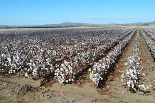 Australia seeks safe haven for its cotton in South East Asia as tariff war with China escalate