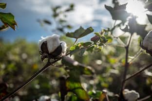 Cotton made in Africa kooperiert mit African Cotton Foundation