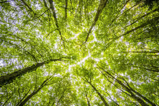 LVMH partners with Canopy on sustainable initiatives
