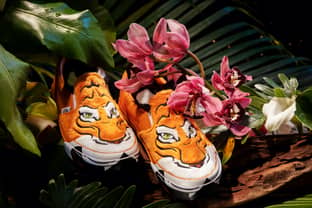 Vans teams up with Discovery on tiger-inspired collection
