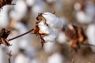 Better Cotton kondigt nieuwe doelstelling aan inzake klimaatverandering