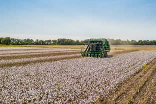 La sequía en EE.UU. lleva el precio del algodón a su máximo en una década