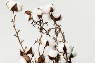 U.s Cotton trust protocol standard per il cotone sostenibile