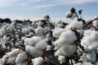Global cotton crisis: Floods in Pakistan could damage 45 percent of country’s cotton