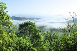 COP 15 : LVMH s’engage en faveur de la biodiversité en Amazonie