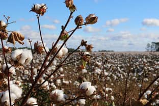 Better Cotton outlines new impact targets for 2030 
