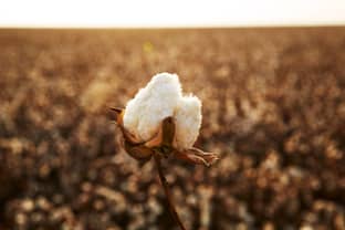 Better Cotton breidt aanwezigheid op Afrikaanse markt uit met nieuw programma in Ivoorkust