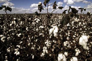 "Sourcing more sustainable cotton is the best way forward"