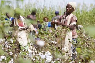„Die Kleinbauern profitieren auf jeden Fall“- Tina Stridde, Aid by Trade Foundation