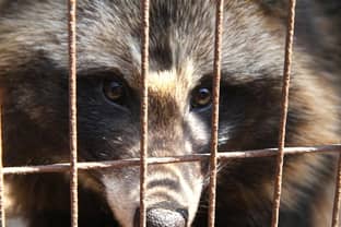 Proteste gegen Bogner: Hundefell im Waschbär-Pelz?