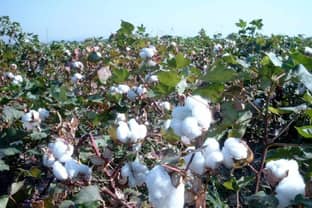 H&M verbietet Gebrauch von Baumwolle aus Turkmenistan und Syrien