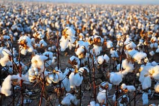 Los precios de la lana y el algodón más altos que nunca, mientras que la demanda supera la producción