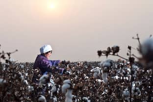 Leading brands progress on cotton sustainability falls short