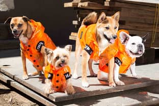 Dog fashion: the next step for luxury brands?