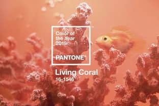 Bright shade of coral is Pantone’s Color of the Year 2019