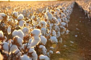 Tailorlux entwickelt Verfahren zur Kennzeichnung von Biobaumwolle